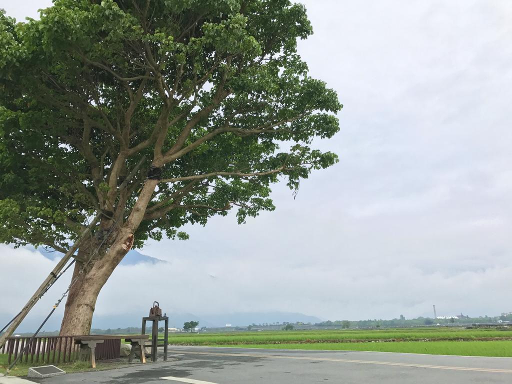 玉蟾園民宿 寵物友善 Yuchanyuan B&B Chishang Exterior foto